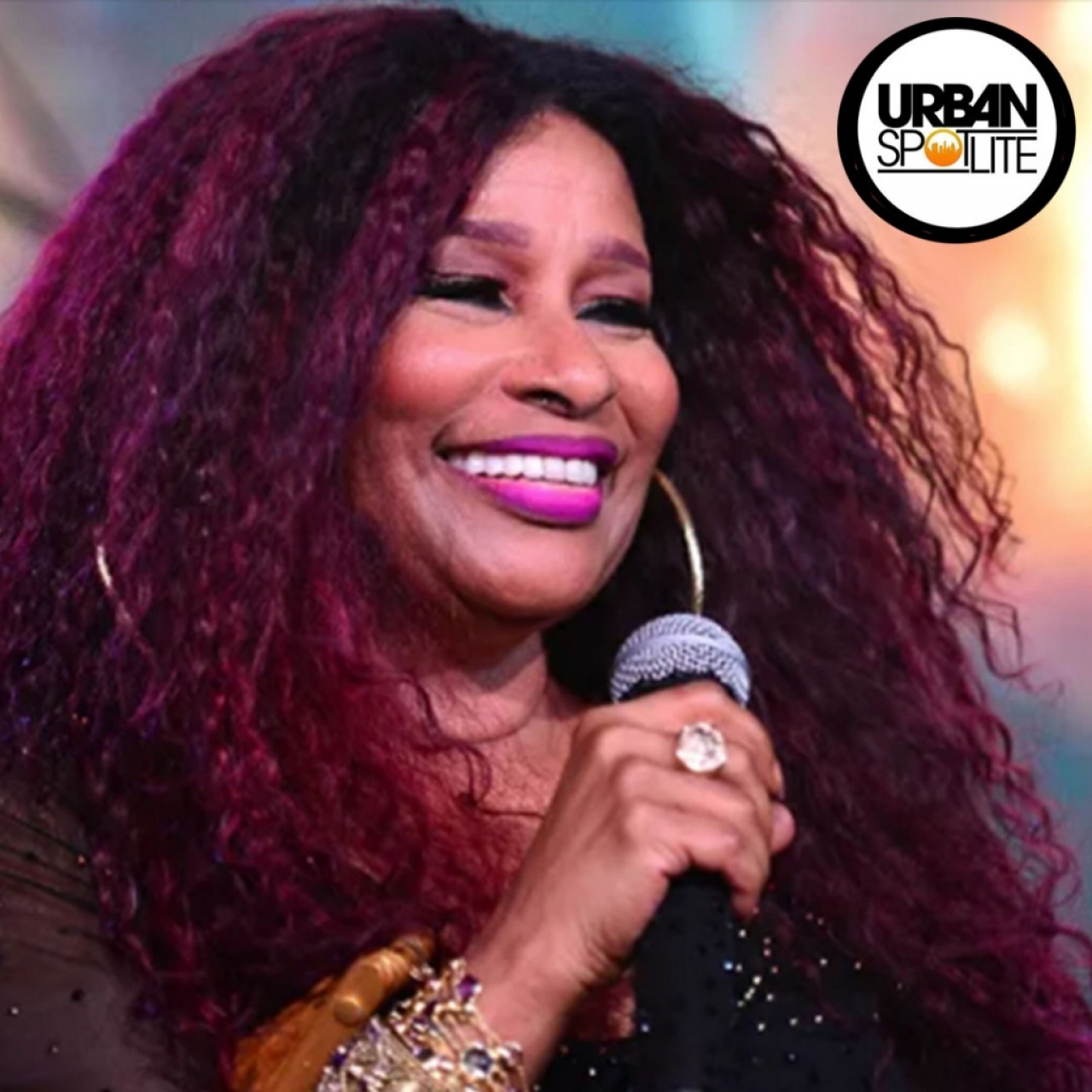 CHAKA KHAN TAKES BACK STATEMENTS