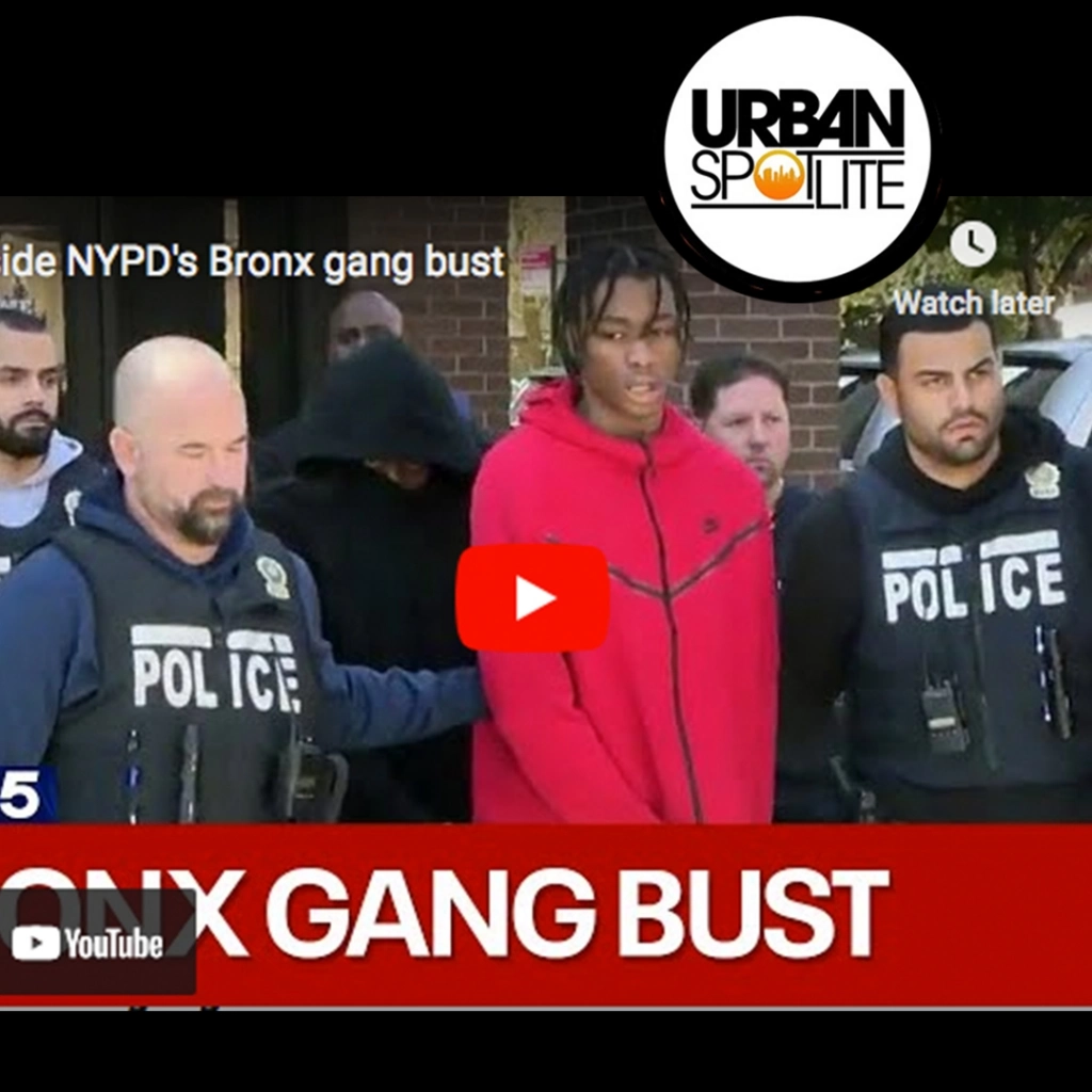 JUST ANOTHER GANG BUST IN THE BRONX | LOSING BLACK YOUTH EVERYDAY