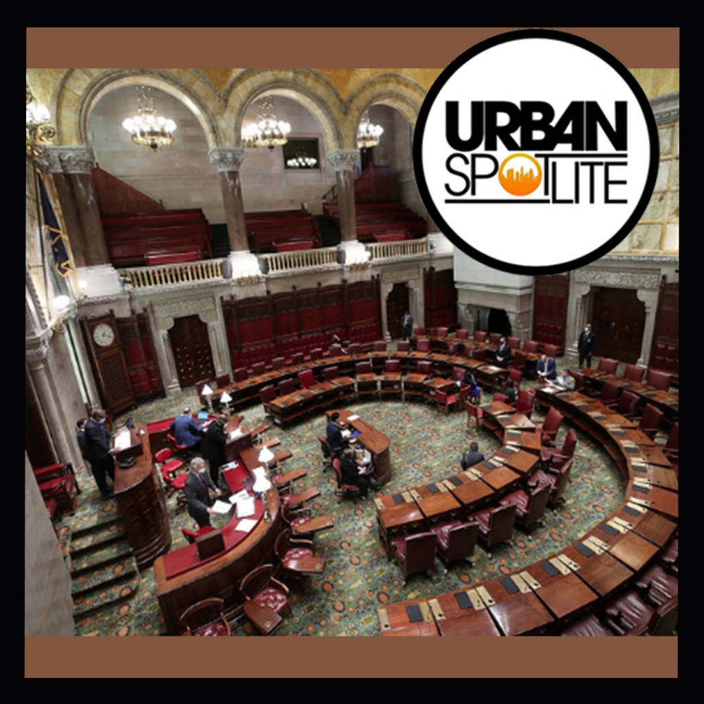 NY SENATE BILL TO PROTECT ARTISTS